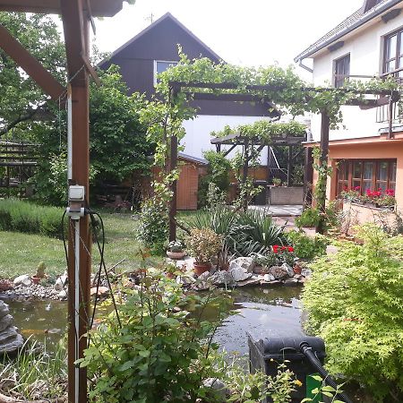 Pension Zeleny Strom มิคูลอฟ ภายนอก รูปภาพ
